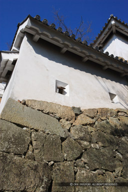 との二門続土塀の狭間|高解像度画像サイズ:3328 x 4992 pixels|写真番号:VJ7Z0691|撮影:Canon EOS-1Ds Mark II