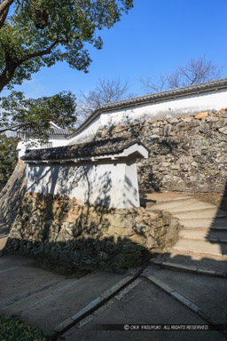 にの門に向かう屈折|高解像度画像サイズ:3328 x 4992 pixels|写真番号:VJ7Z0820|撮影:Canon EOS-1Ds Mark II