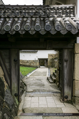 水一門と水三門への傾斜|高解像度画像サイズ:3328 x 4992 pixels|写真番号:VJ7Z0849|撮影:Canon EOS-1Ds Mark II