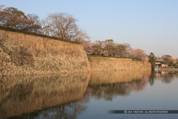 水堀｜高解像度画像サイズ：4992 x 3328 pixels｜写真番号：VJ7Z4818｜撮影：Canon EOS-1Ds Mark II