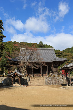 随願寺｜高解像度画像サイズ：3456 x 5184 pixels｜写真番号：1DXL8995｜撮影：Canon EOS-1D X