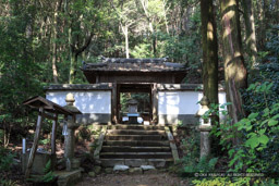 実相院の墓所・榊原政邦の側室・随願寺｜高解像度画像サイズ：5184 x 3456 pixels｜写真番号：1DXL8999｜撮影：Canon EOS-1D X