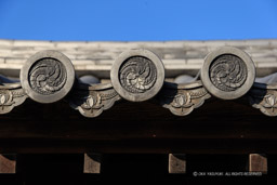 黒田家廟所移築門・心光寺｜高解像度画像サイズ：5061 x 3374 pixels｜写真番号：1DXL9133｜撮影：Canon EOS-1D X