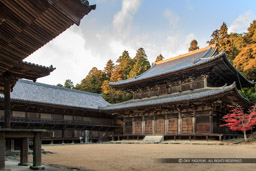 書写山圓教寺｜高解像度画像サイズ：4541 x 3027 pixels｜写真番号：1DXL9272｜撮影：Canon EOS-1D X