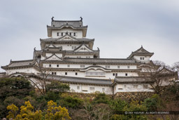 姫路城の北側からの眺め｜高解像度画像サイズ：6478 x 4318 pixels｜写真番号：5D4A5424｜撮影：Canon EOS 5D Mark IV