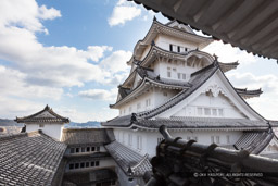 乾小天守4階から大天守(2019年)|高解像度画像サイズ:8411 x 5607 pixels|写真番号:5DSA8000|撮影:Canon EOS 5DS