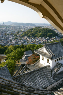 大天守から乾小天守を望む|高解像度画像サイズ:2993 x 4490 pixels|写真番号:VJ7Z3256|撮影:Canon EOS-1Ds Mark II