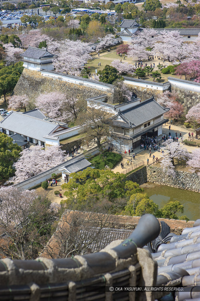 姫路城大天守より春の西の丸を望む