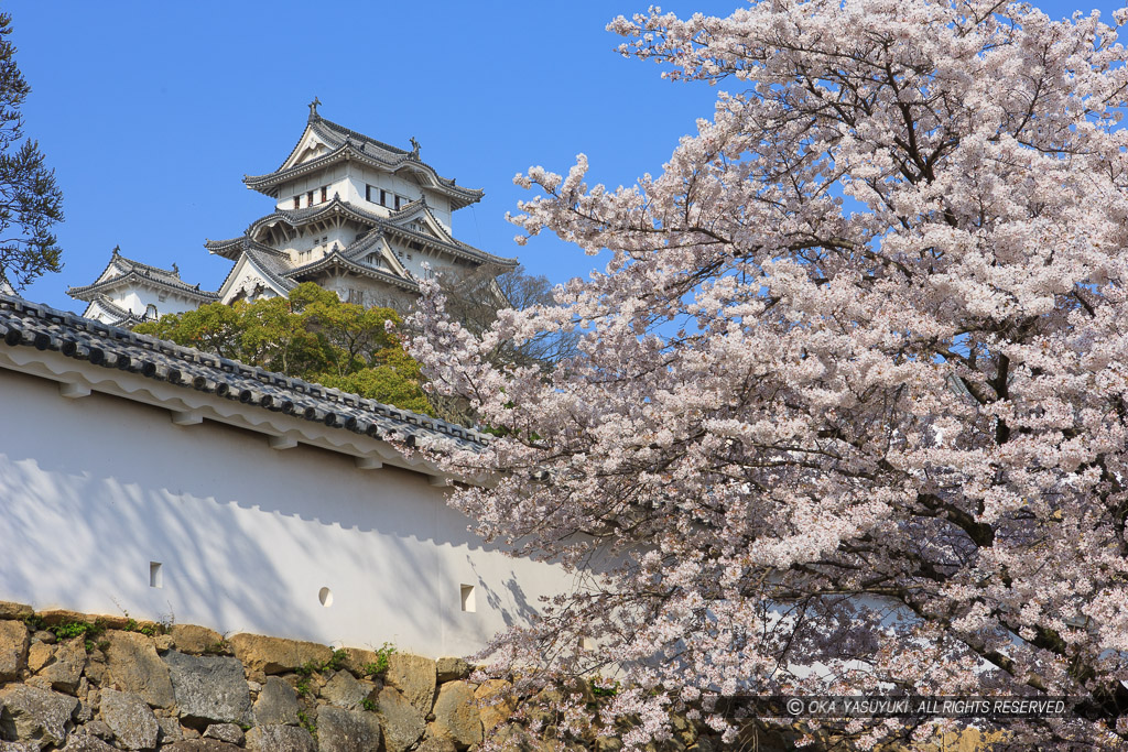 姫路城菱の門から天守を望む（平成の修理前）