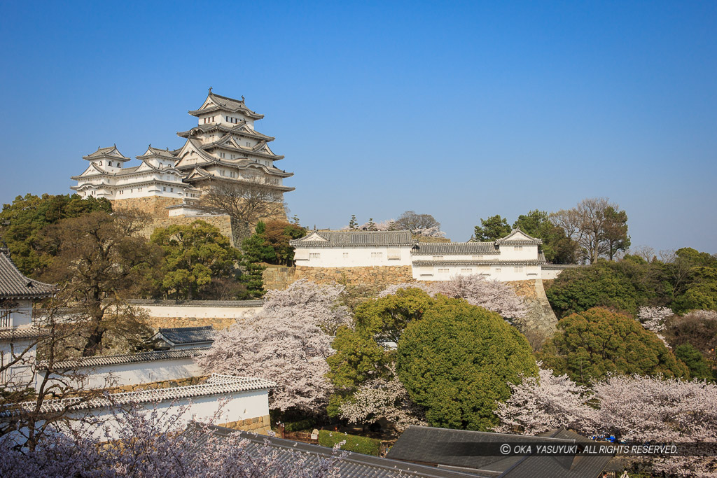 春の姫路城全景（平成の修理前）
