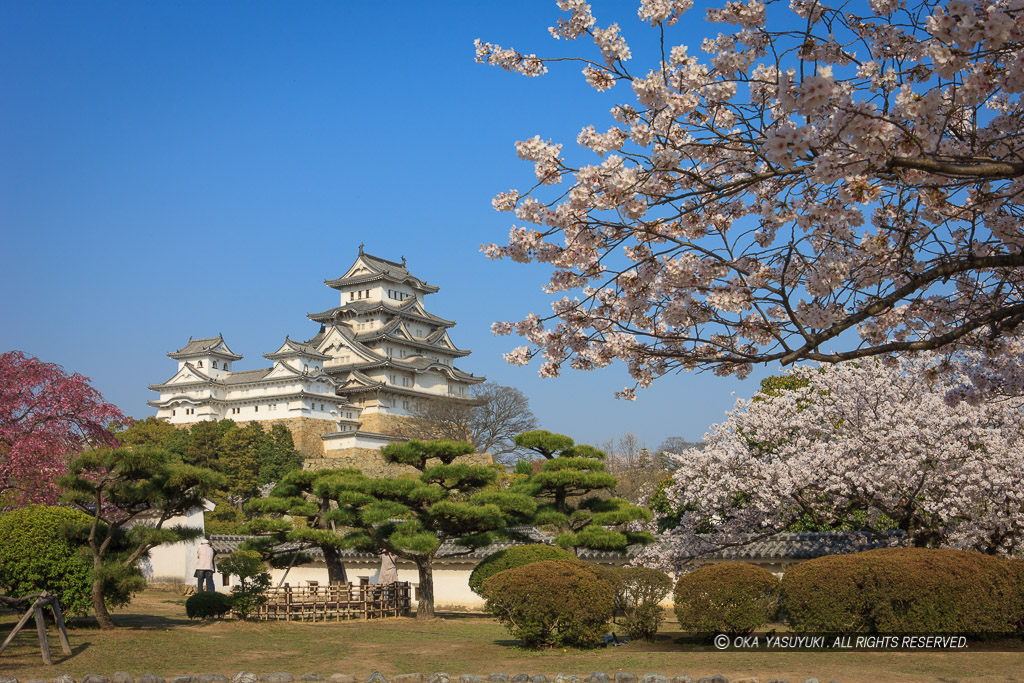 姫路城西の丸から天守群を望む（平成の修理前）