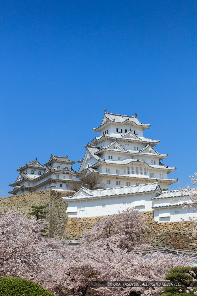 姫路城三の丸から春の風景