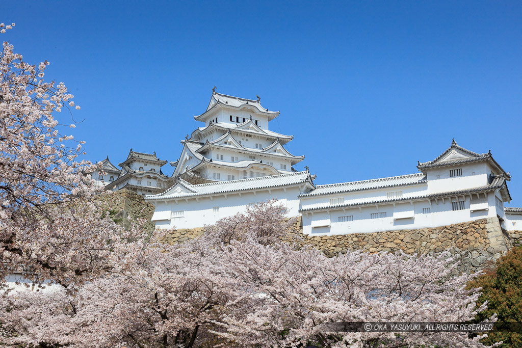姫路城三の丸から春の風景