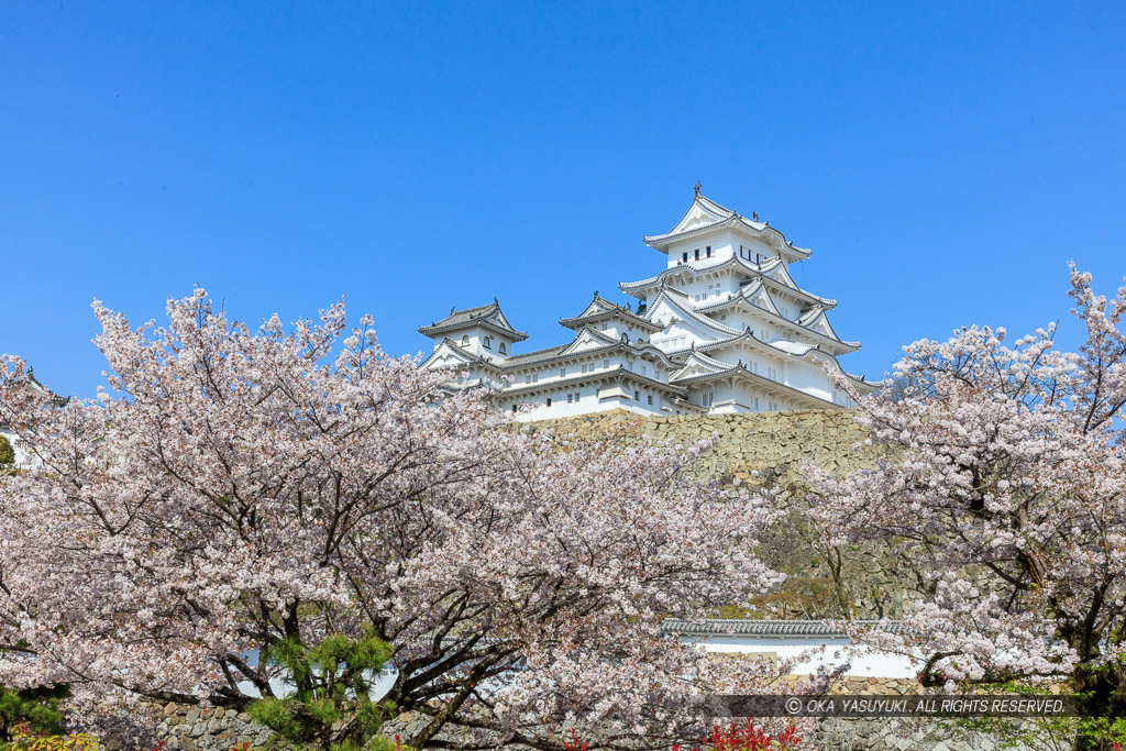 姫路城三の丸から春の風景