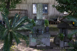 沖田畷古戦場跡供養塔 | 高解像度画像サイズ：1200 x 800 pixels | 写真番号：265_6507_IMG-Edit | 撮影：