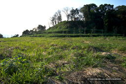 本丸跡 | 高解像度画像サイズ：799 x 533 pixels | 写真番号：IMG0085 | 撮影：