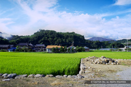 日野江城の遠景 | 高解像度画像サイズ：800 x 533 pixels | 写真番号：IMG0093_Edit | 撮影：