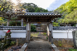 吉祥寺 山門・平島館移築門 | 高解像度画像サイズ：8192 x 5464 pixels | 写真番号：6F1A0182 | 撮影：Canon EOS R5m2