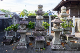 室町幕府十四代将軍義栄の墓・室町幕府十代将軍義稙の墓・初代阿波公方足利義冬の墓・西光寺 | 高解像度画像サイズ：8192 x 5464 pixels | 写真番号：6F1A0191 | 撮影：Canon EOS R5m2