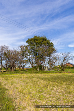平島館跡 土塁 | 高解像度画像サイズ:5464 x 8192 pixels | 写真番号:6F1A0203 | 撮影:Canon EOS R5m2