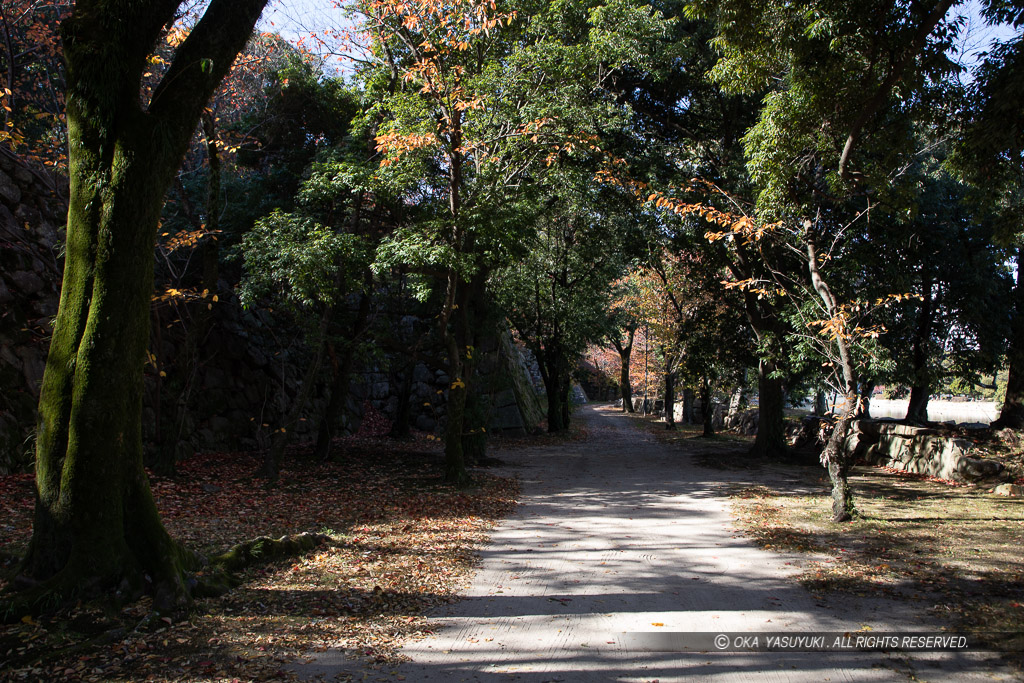 広島城本丸北側