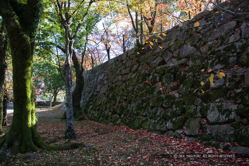 広島城本丸上段の石垣