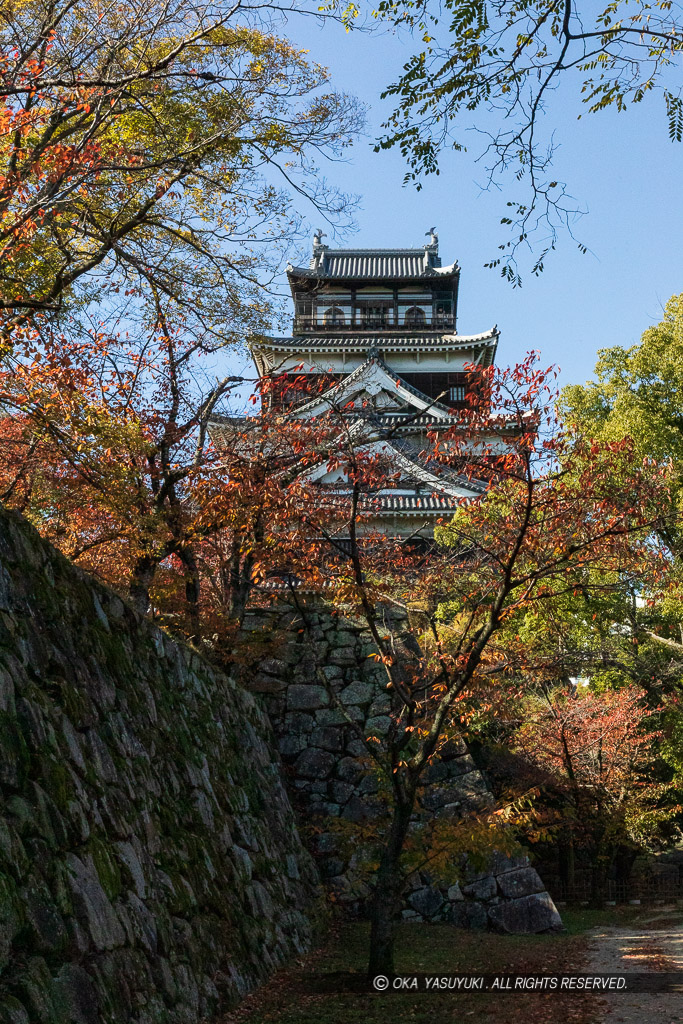 本丸北側から見る広島城天守閣