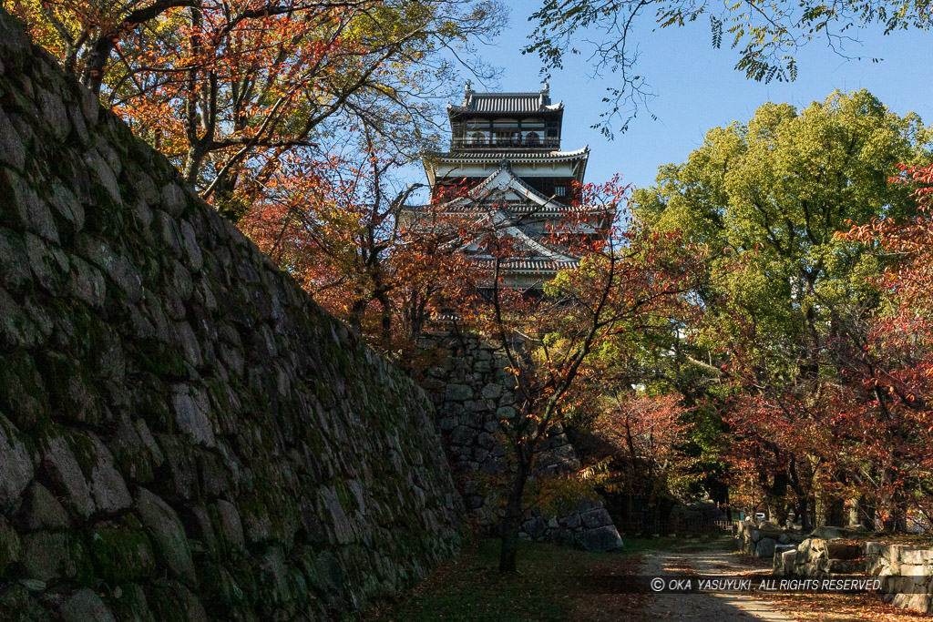 本丸北側から見る広島城天守閣