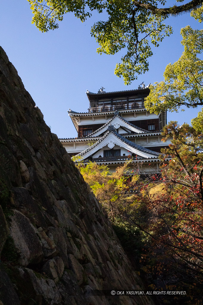 本丸北側から見る広島城天守閣