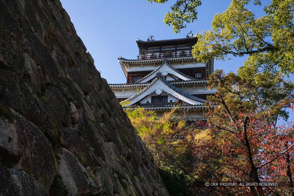 本丸北側から見る広島城天守閣