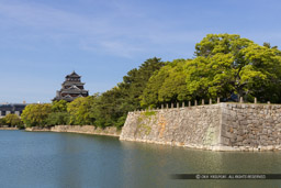 内堀から見る広島城天守閣(新緑)|高解像度画像サイズ:8192 x 5464 pixels|写真番号:344A3560|撮影:Canon EOS R5