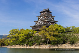 内堀から見る広島城天守閣(新緑)|高解像度画像サイズ:8192 x 5464 pixels|写真番号:344A3564|撮影:Canon EOS R5