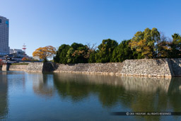 広島城｜高解像度画像サイズ：6445 x 4297 pixels｜写真番号：5D4A3945｜撮影：Canon EOS 5D Mark IV