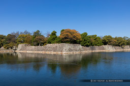 広島城本丸を南東から望む｜高解像度画像サイズ：6425 x 4283 pixels｜写真番号：5D4A3953｜撮影：Canon EOS 5D Mark IV