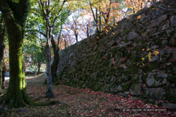 広島城本丸上段の石垣|高解像度画像サイズ:6720 x 4480 pixels|写真番号:5D4A4166|撮影:Canon EOS 5D Mark IV