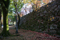 広島城本丸上段の石垣｜高解像度画像サイズ：6720 x 4480 pixels｜写真番号：5D4A4166｜撮影：Canon EOS 5D Mark IV