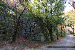広島城本丸上段の石垣|高解像度画像サイズ:6720 x 4480 pixels|写真番号:5D4A4167|撮影:Canon EOS 5D Mark IV