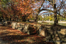 広島城｜高解像度画像サイズ：6586 x 4391 pixels｜写真番号：5D4A4176｜撮影：Canon EOS 5D Mark IV