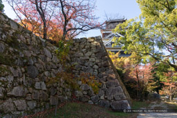 広島城小天守台石垣|高解像度画像サイズ:6540 x 4360 pixels|写真番号:5D4A4178|撮影:Canon EOS 5D Mark IV