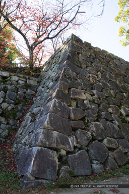 広島城小天守台石垣｜高解像度画像サイズ：4480 x 6720 pixels｜写真番号：5D4A4179｜撮影：Canon EOS 5D Mark IV