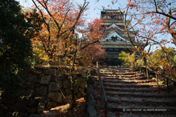 広島城天守閣東面｜高解像度画像サイズ：6720 x 4480 pixels｜写真番号：5D4A4284｜撮影：Canon EOS 5D Mark IV