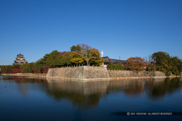 内堀から見る広島城本丸と天守閣|高解像度画像サイズ:5993 x 3996 pixels|写真番号:5D4A4334|撮影:Canon EOS 5D Mark IV