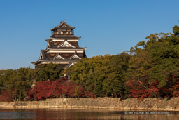内堀から見る広島城天守閣|高解像度画像サイズ:6720 x 4480 pixels|写真番号:5D4A4340|撮影:Canon EOS 5D Mark IV