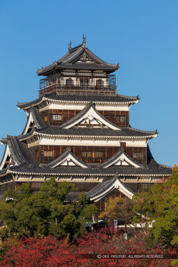 内堀から見る広島城天守閣|高解像度画像サイズ:4369 x 6553 pixels|写真番号:5D4A4348|撮影:Canon EOS 5D Mark IV