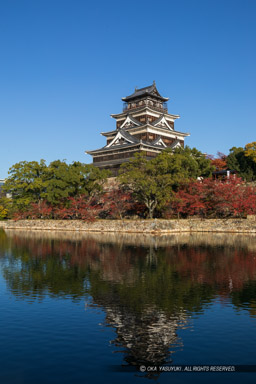 内堀から見る広島城天守閣|高解像度画像サイズ:4403 x 6605 pixels|写真番号:5D4A4363|撮影:Canon EOS 5D Mark IV