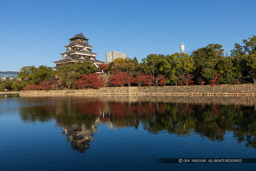 内堀から見る広島城天守閣|高解像度画像サイズ:6720 x 4480 pixels|写真番号:5D4A4411|撮影:Canon EOS 5D Mark IV
