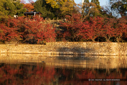 広島城本丸石垣西面|高解像度画像サイズ:6720 x 4480 pixels|写真番号:5D4A4465|撮影:Canon EOS 5D Mark IV