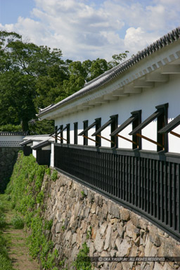 人吉城の大手多聞櫓|高解像度画像サイズ:3328 x 4992 pixels|写真番号:VJ7Z1566|撮影:Canon EOS-1Ds Mark II