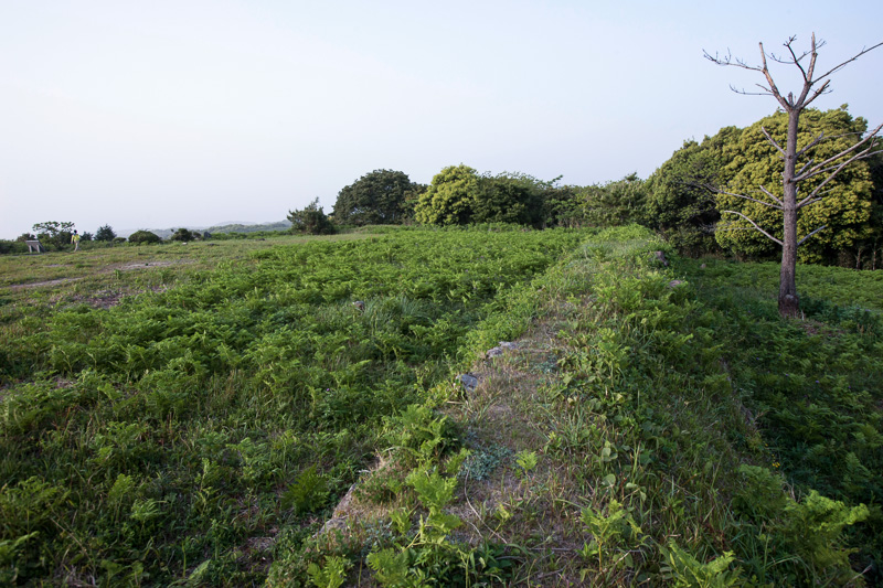 豊臣秀保陣屋跡