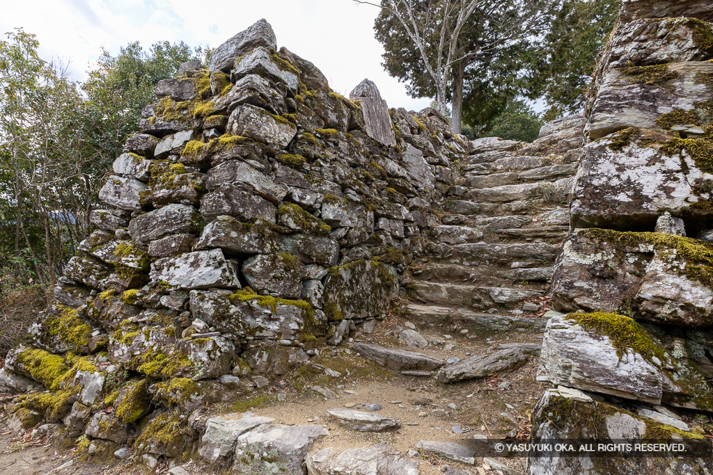 本丸虎口・石階